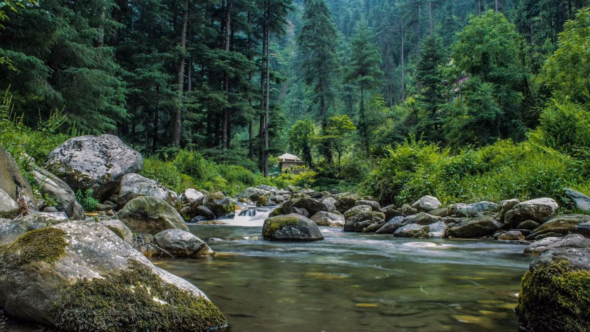 Tirthan Valley — photo 4