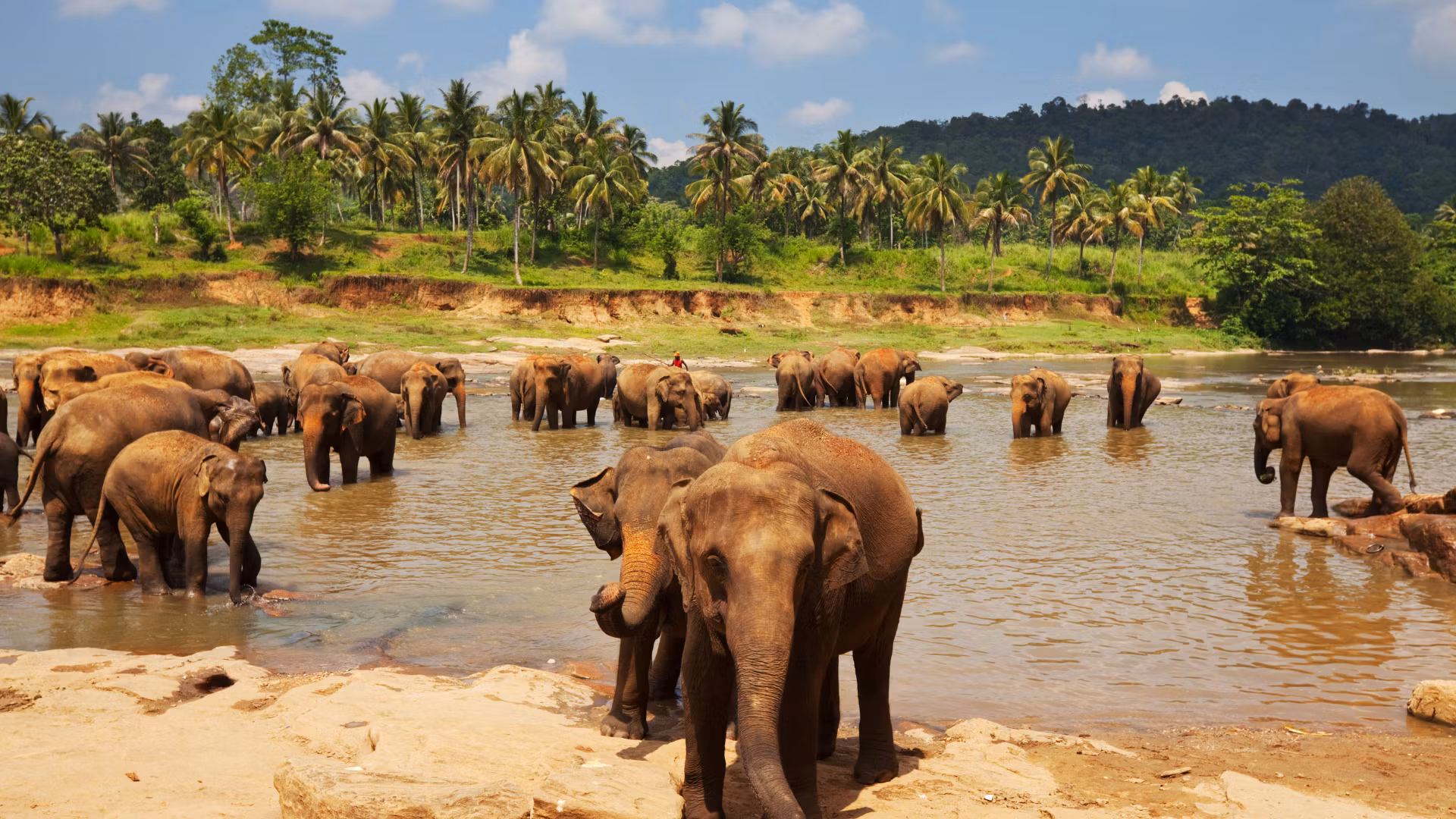 Sri Lanka — photo 5