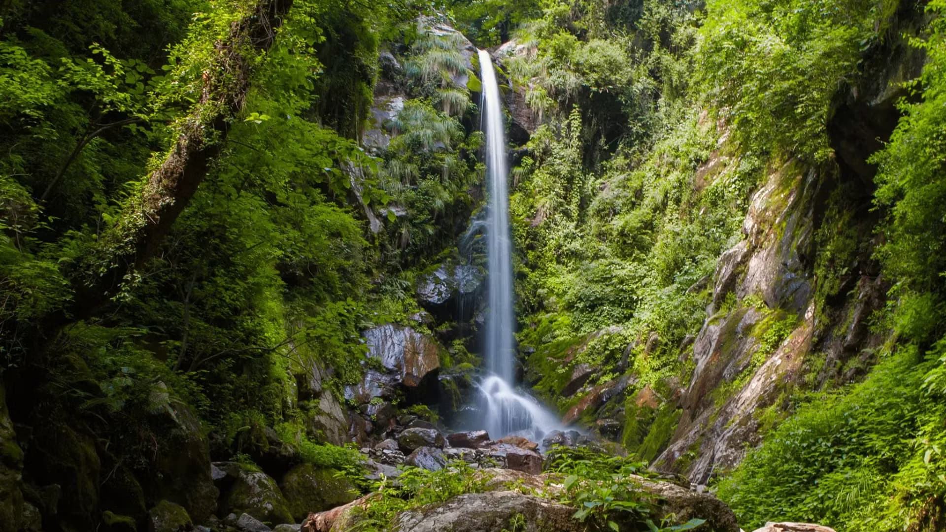 Tirthan Valley — photo 2