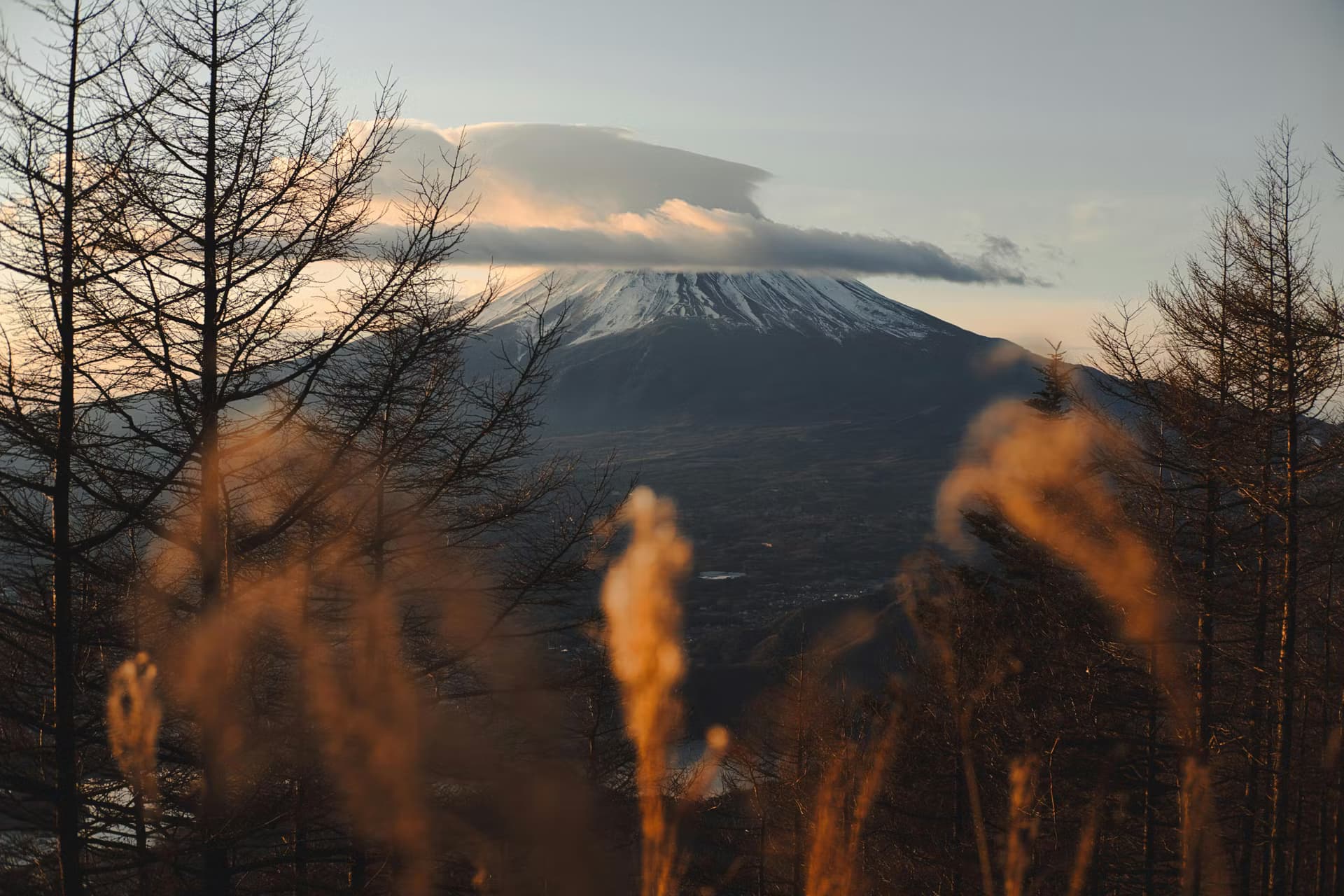 Japanese Grand Prix 2027 — photo 4