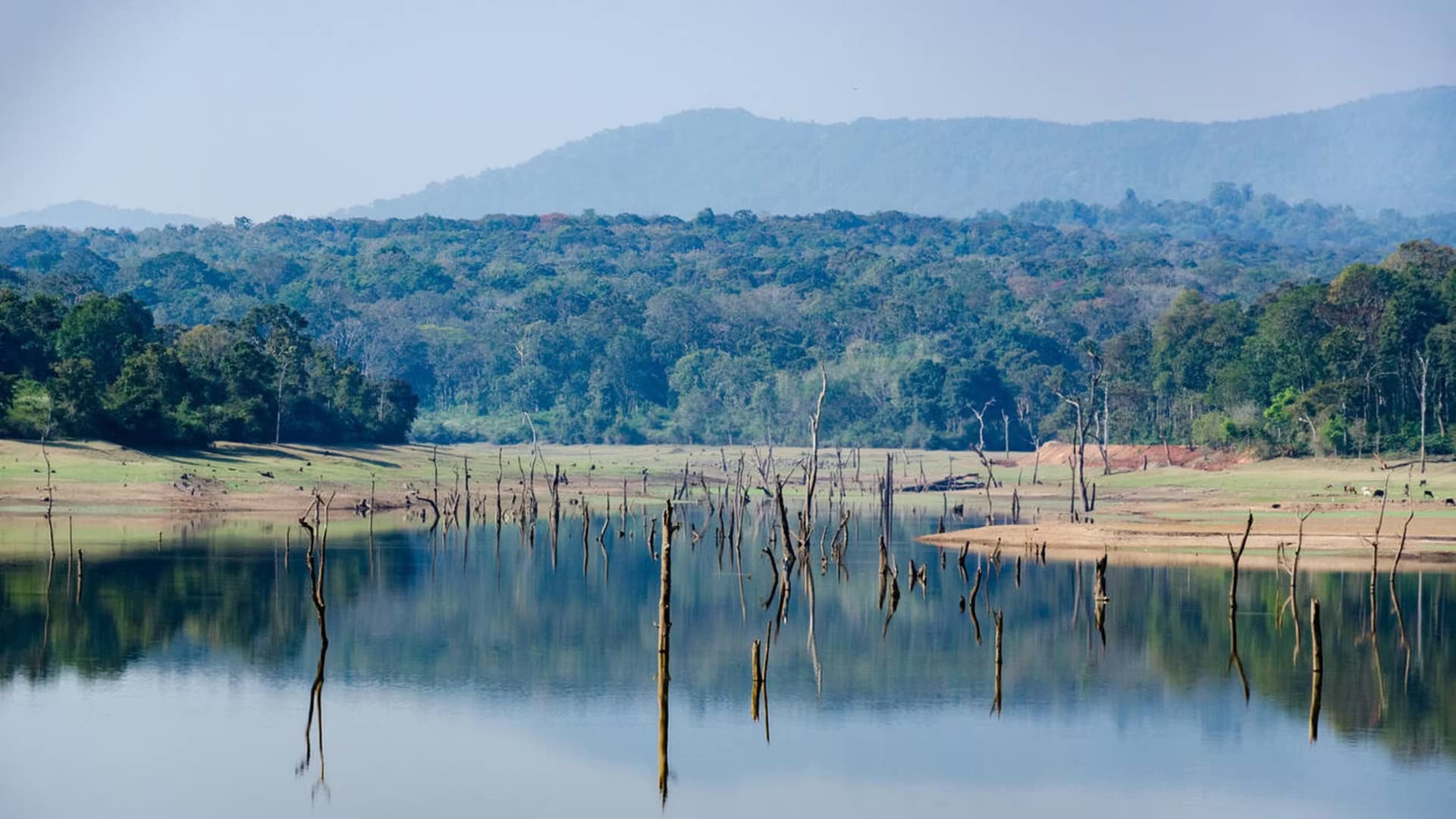 Bangalore to Coorg via Mysore
