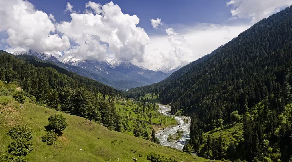 Kashmir (Gurez and Gulmarg)