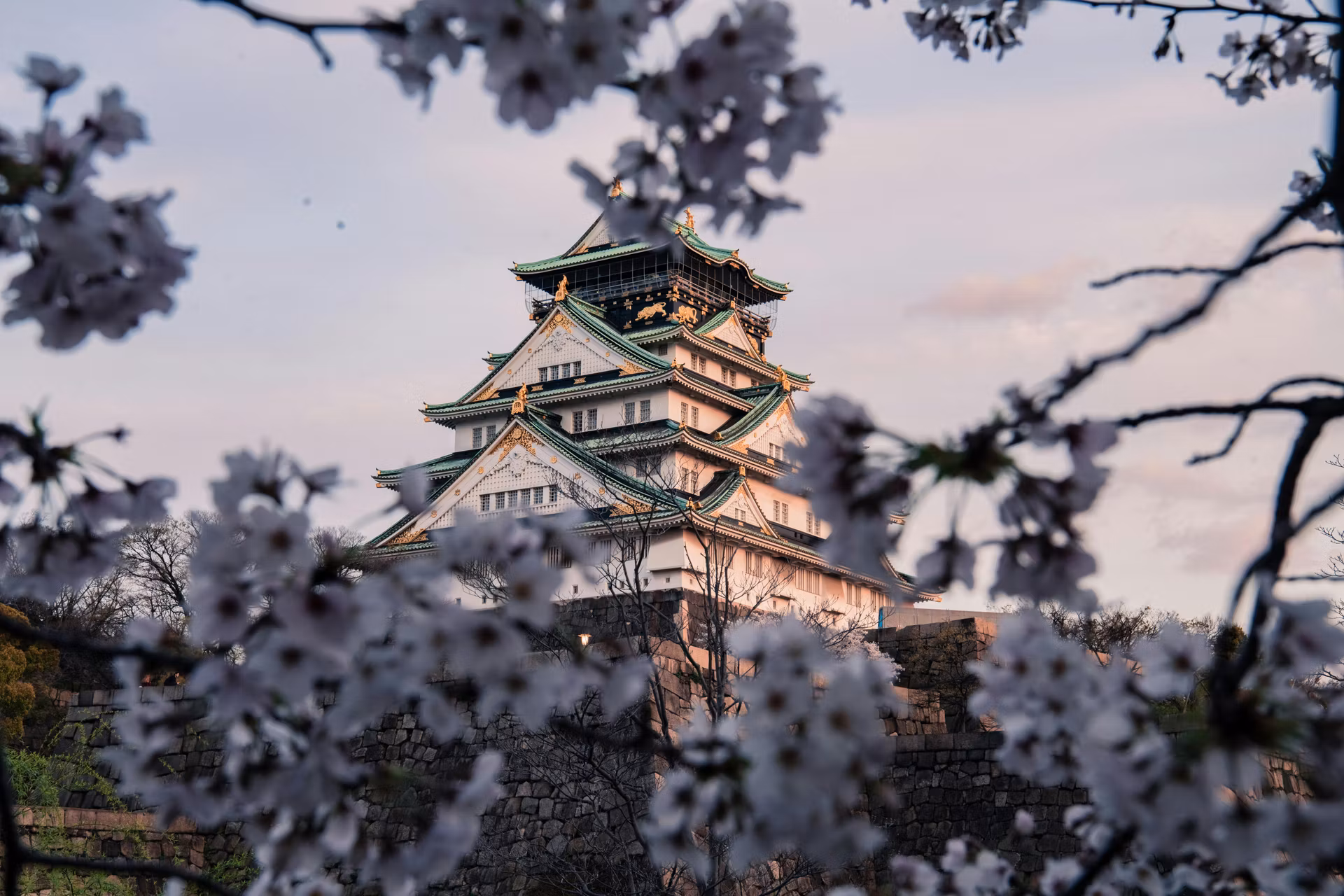 Japanese Grand Prix 2027 — photo 2