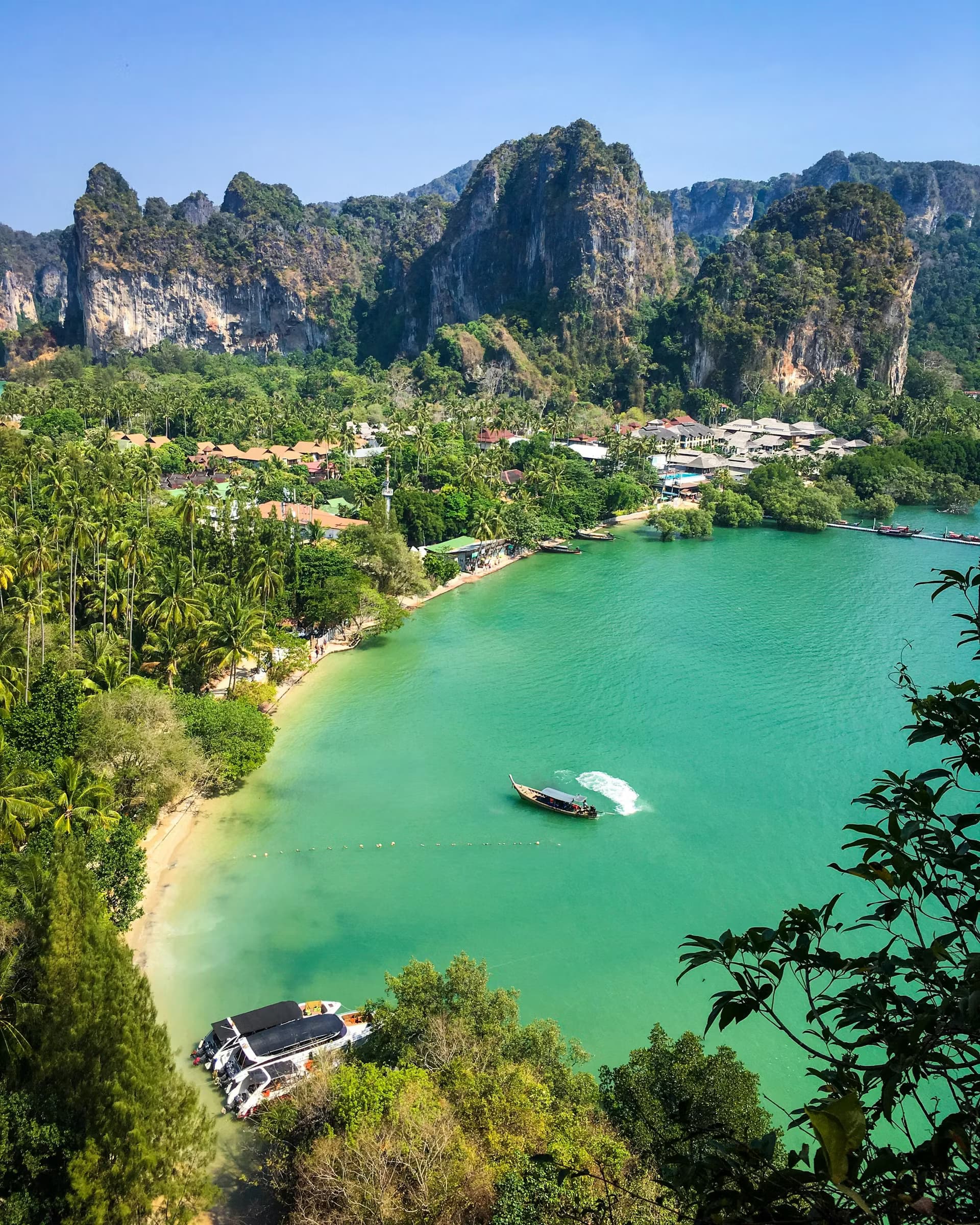 Tomorrowland Thailand 2026 — photo 5
