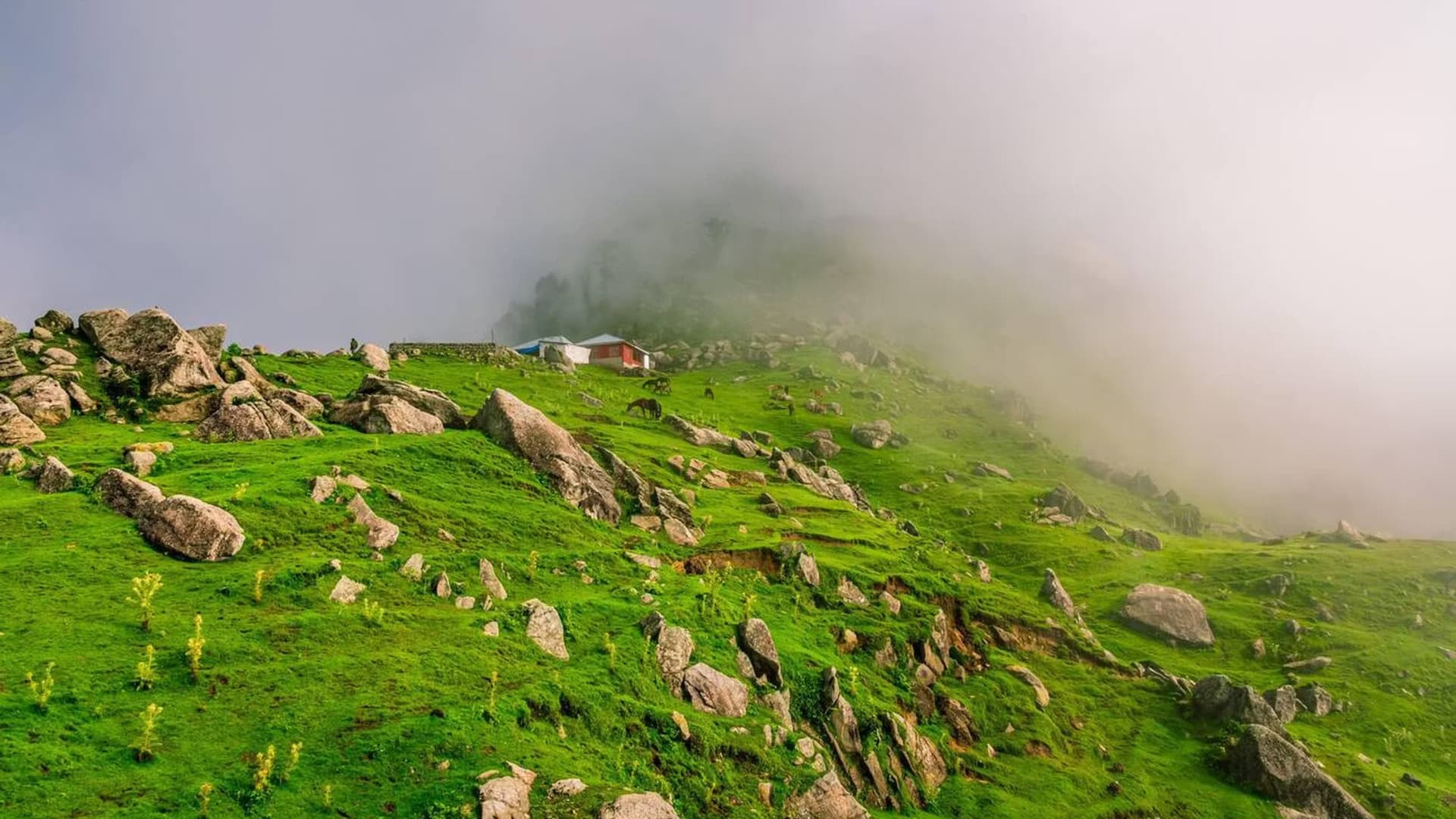 Mcleodganj Triund — photo 4