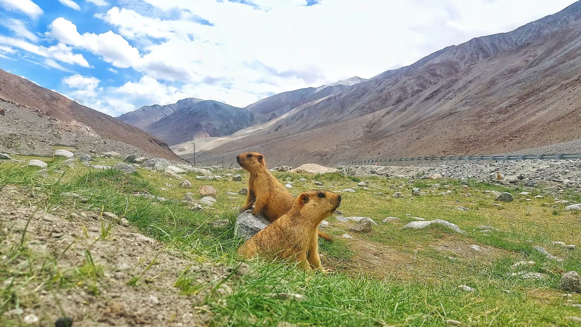 Ladakh (Turtuk) — photo 2