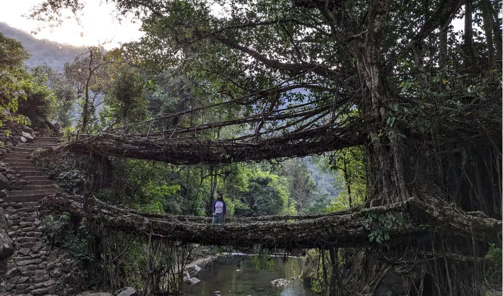 Meghalaya (Monsoon Edition) — photo 5