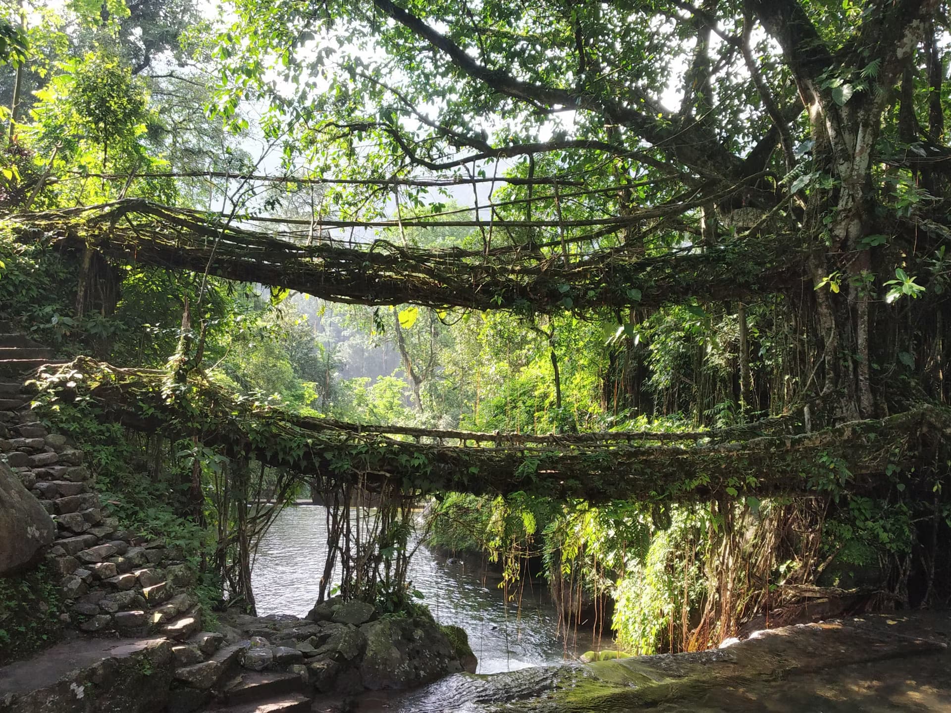 Meghalaya (Monsoon Edition)