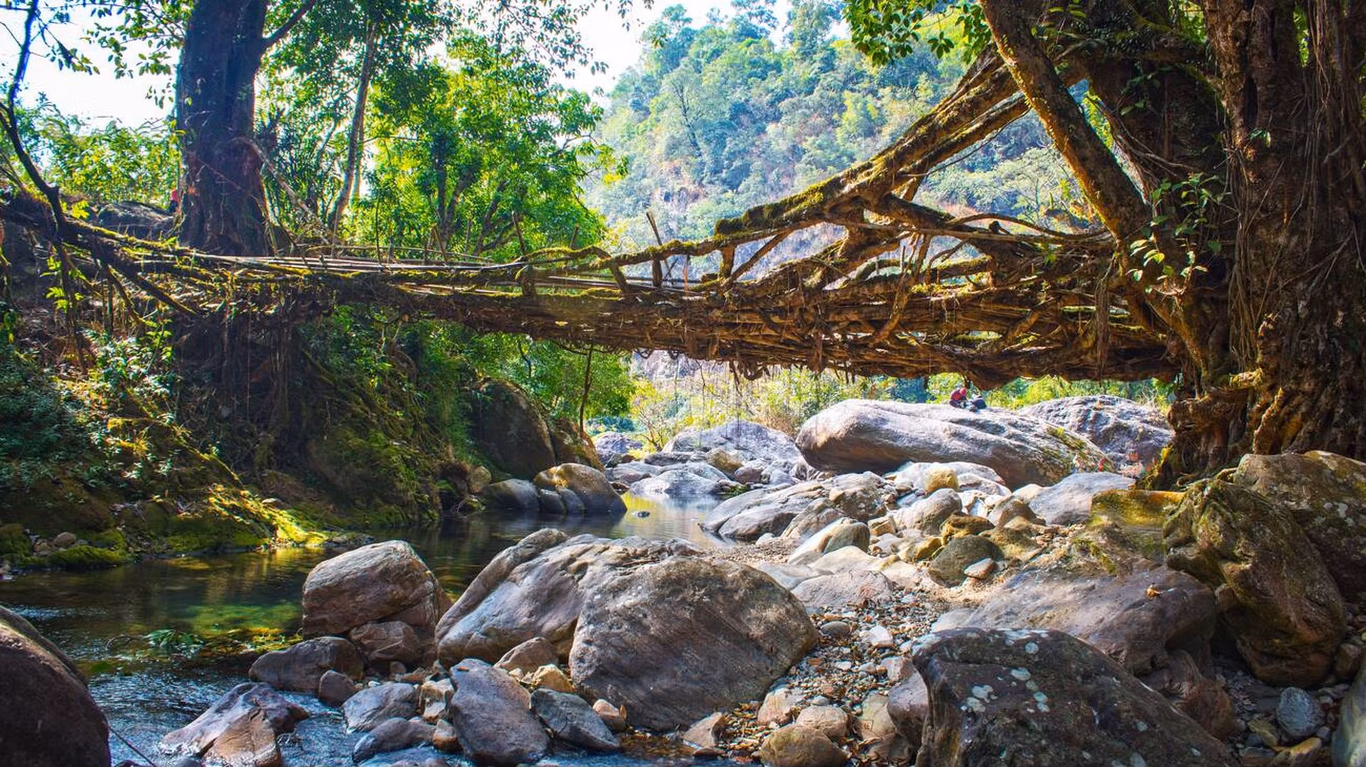 Offbeat Meghalaya — photo 4